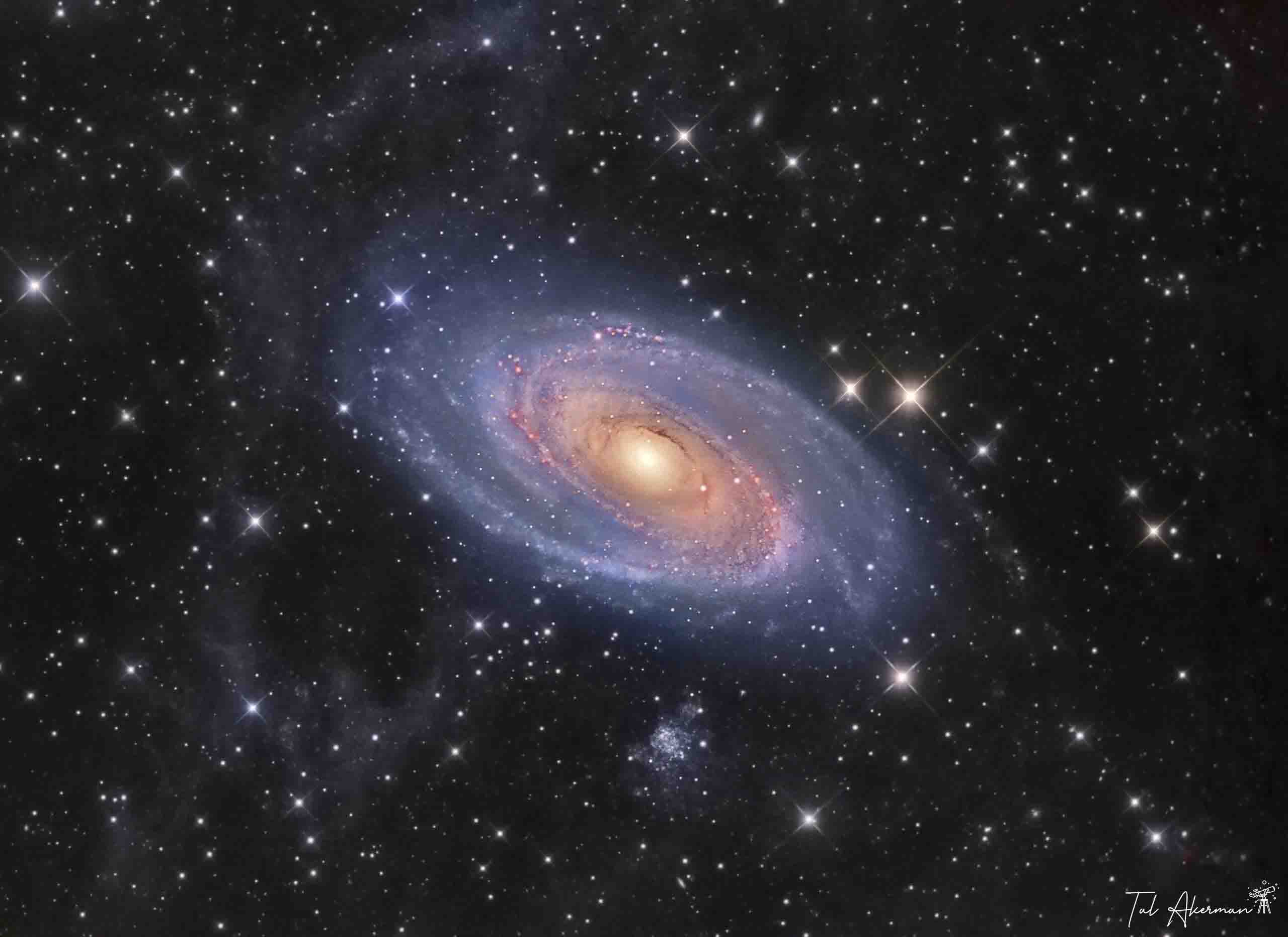 M81 (Bode's Galaxy)