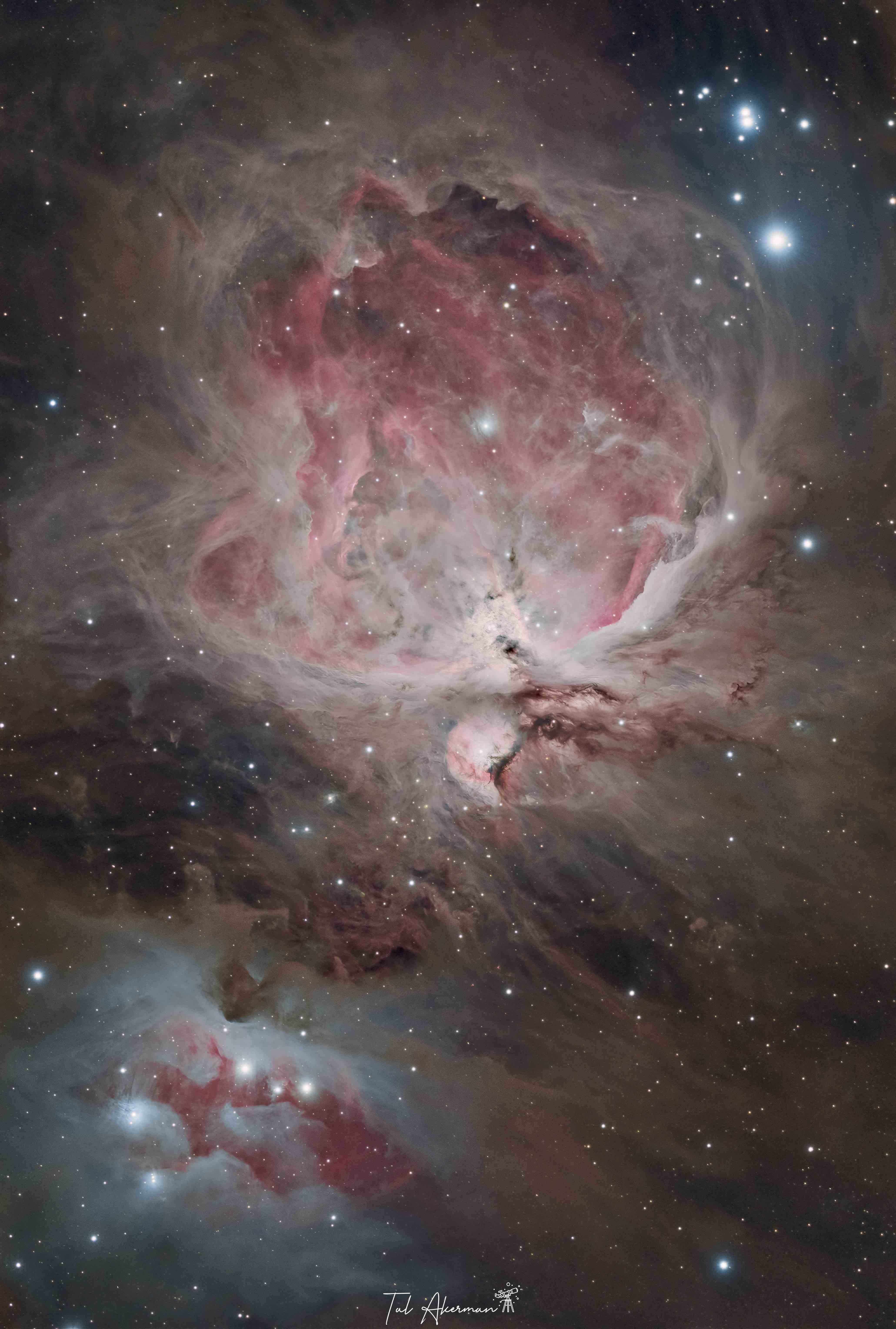 Orion Nebula